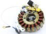 HERO KARIZMA COIL PLATE ASSEMBLY (18 POLL) 3+3 PIN