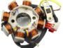 TVS APACHI RTR 180 COIL PLATE ASSEMBLY (8 POLL) 4+2 PIN