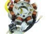 TVS APACHI RTR 180 EFI MAGNET COIL PLATE ASSEMBLY