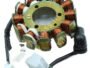 BAJAJ PILSER 200 NS MAGNET COIL PLATE ASSEMBLY (12 POLL) 2+2 PIN