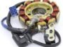 BAJAJ PULSER 125 NS BS6 JE33 MAGNET COIL PLATE ASSEMBLY (12 POLL) 5 PIN
