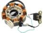 BAJAJ PULSER 150 MAGNET COIL PLATE ASSEMBLY(8 POLL) 5 PIN
