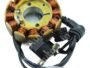 BAJAJ VIKRANT V12 JH07 MAGNET COIL PLATE ASSEMBLY(6 PIN BLACK SOCKET) 12 POLL