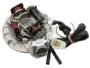 COIL PLATE ASSEMBLY HERO SPLENDOR , CD DAWN (3LT 2 HOLE) 4+2 PIN