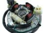 COIL PLATE ASSEMBLY HERO SPLENDOR, PASSION (3LT 4 HOLE) 4+2 PIN