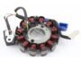 COIL PLATE ASSEMBLY TVS JUPITER, N-TORQ, SCOOTY PEP + A(12 POLL) 2+2 PIN