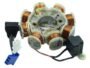 COIL PLATE ASSEMBLY TVS SCOOTY STREAK (8 POLL) 3+2 PIN