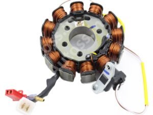 COIL PLATE ASSEMBLY TVS STAR CITY PLUS, REDION, PHOENIX (12 POLL) 2+2+1 PIN BS6