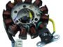 HERO ACHIVER NEW COIL PLATE ASSEMBLY (12 POLL) 2+1 PIN