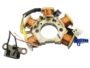 SCOOTY PEP+COIL PLATE ASSEMBLY(5 POLL) 2+2 PIN