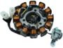 SUZUKI ACCESS MAGNET COIL PLATE ASSEMBLY(12 POLL) 2+1 PIN