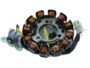 SUZUKI HAYATE MAGNET COIL PLATE ASSEMBLY(12 POLL) 2+2 PIN