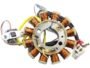 TVS PHOENIX 125 BS4 COIL PLATE ASSEMBLY (12 POLL) 3+2 +1 PIN